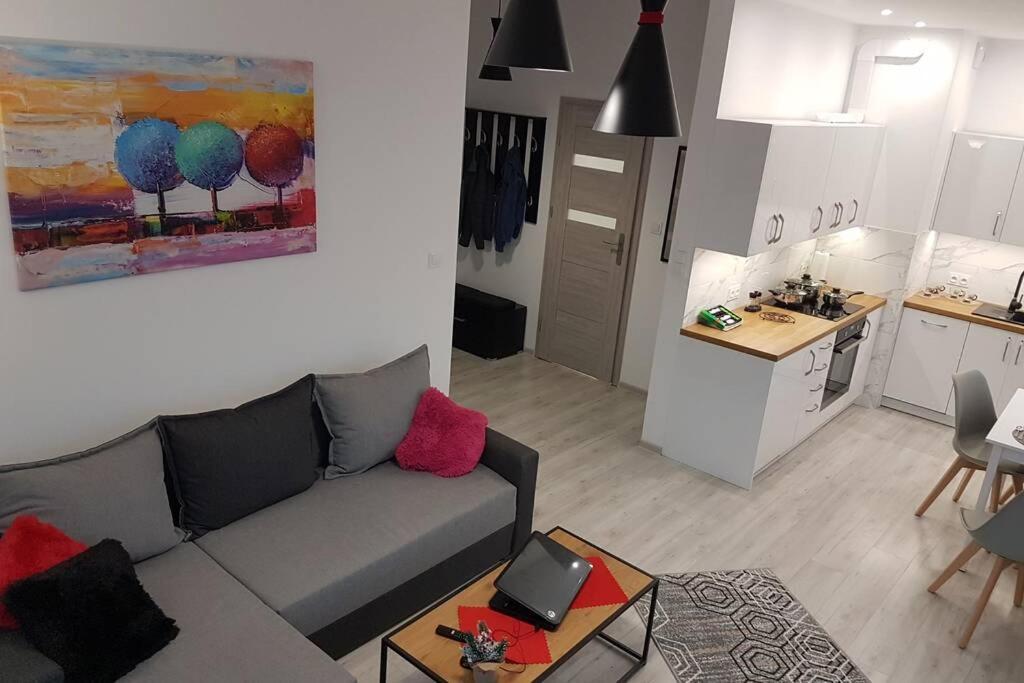 Komfortowy Nowoczesny Apartament Kustronia Z Garazem Balkonem Wanna Bielsko-Biała Esterno foto