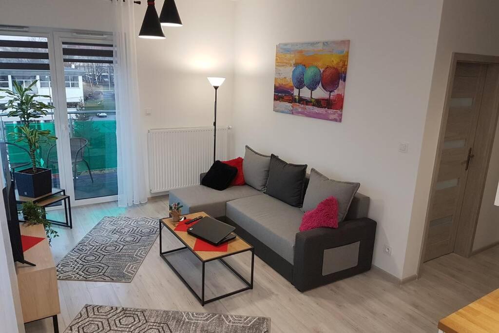 Komfortowy Nowoczesny Apartament Kustronia Z Garazem Balkonem Wanna Bielsko-Biała Esterno foto